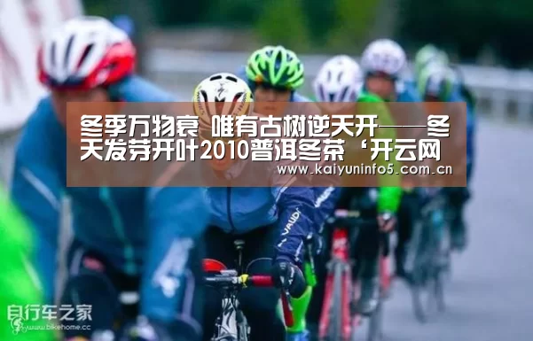 冬季万物衰 唯有古树逆天开——冬天发芽开叶2010普洱冬茶‘开云网页版’(图2) 开云在线平台