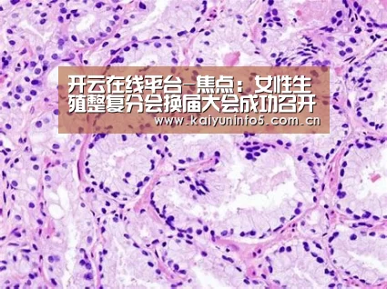 开云网页版