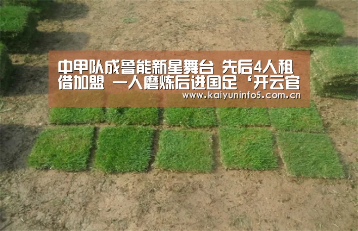 开云在线平台