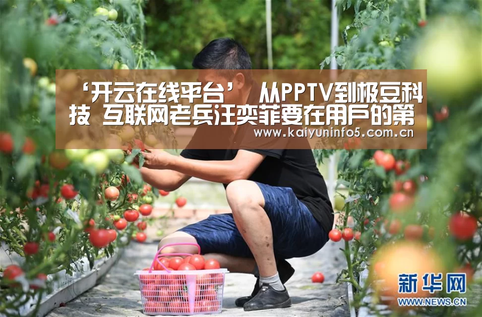 开云官方入口