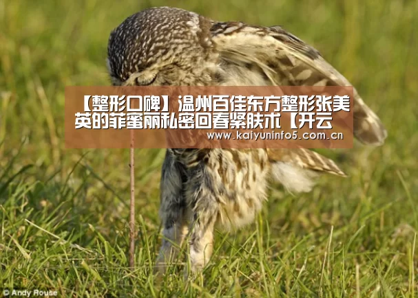 开云官方入口